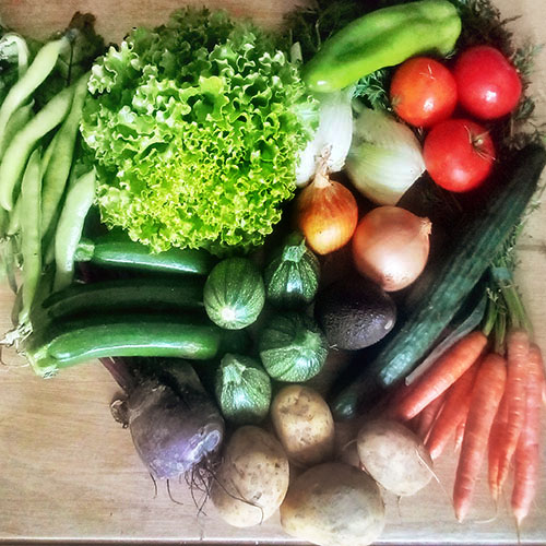 PANIER 'FAMILLE' de fruits et légumes
