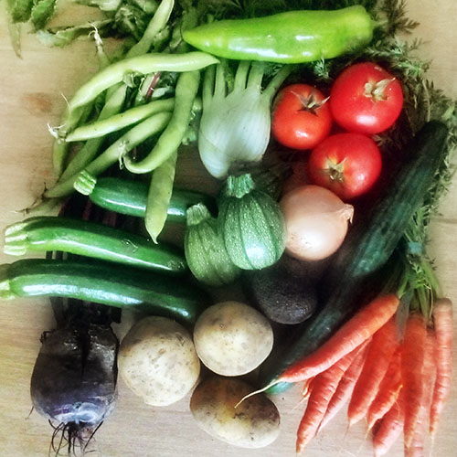 PANIER 'PITCHOUN' de fruits et légumes