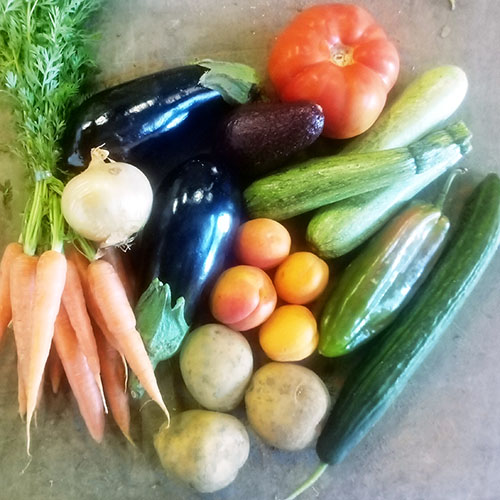 PANIER 'PITCHOUN' de fruits et légumes
