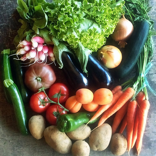 PANIER 'FAMILLE' de fruits et légumes