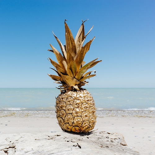 Comment préparer et consommer l’ananas ?