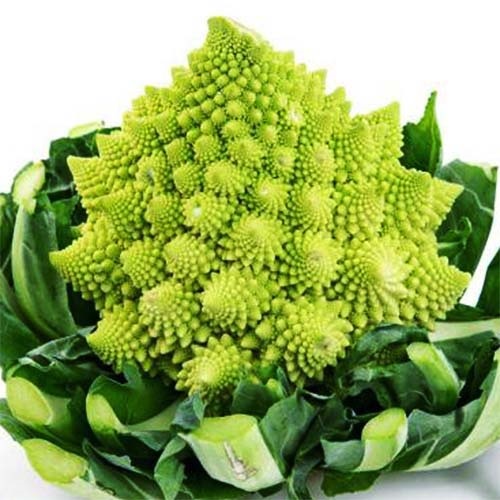 Le chou romanesco, la nature est une artiste !